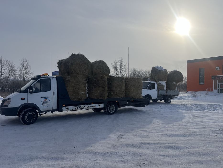 Сено разнотравье