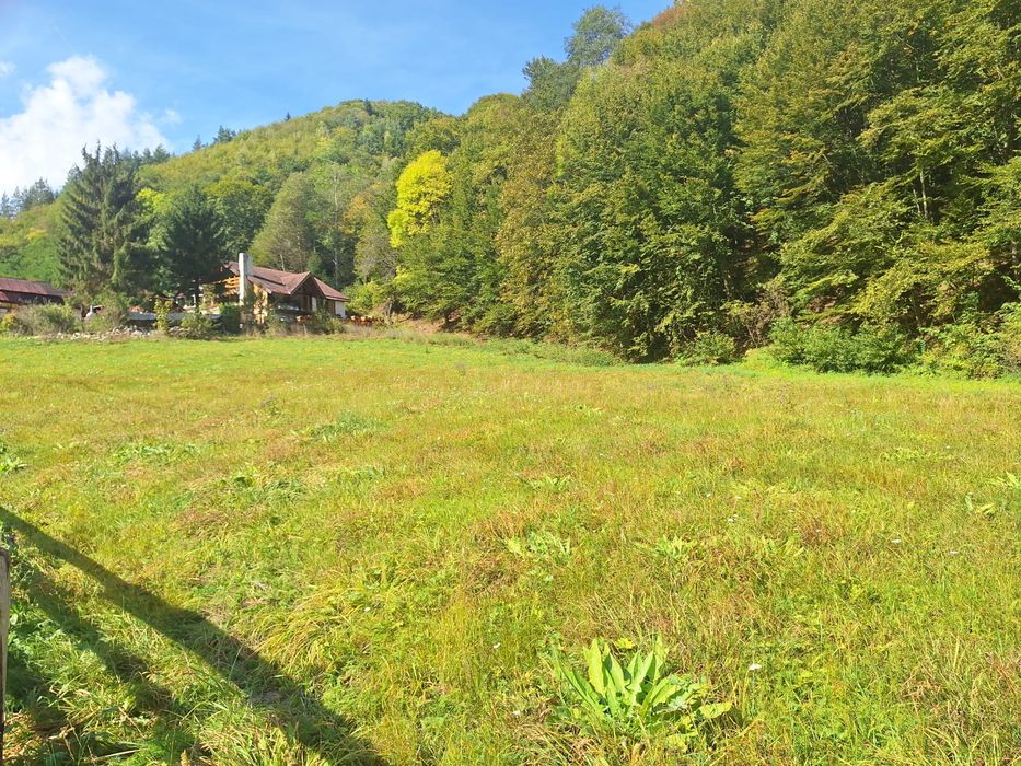 Teren de vazare in Maguri Racatau / Valea Racataului