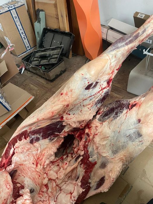 Табақтап семіз байталдын еті сатылады