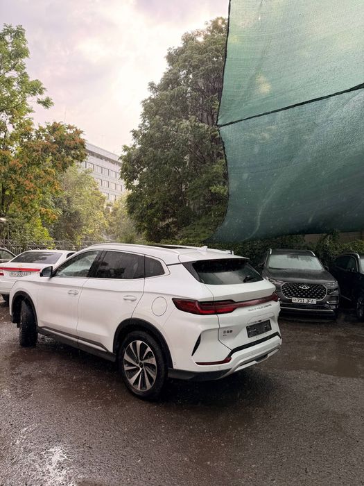 Byd song plus Champion 605
