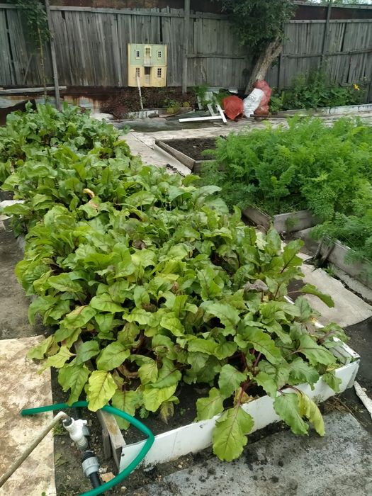 Продам дачу Новопавловка