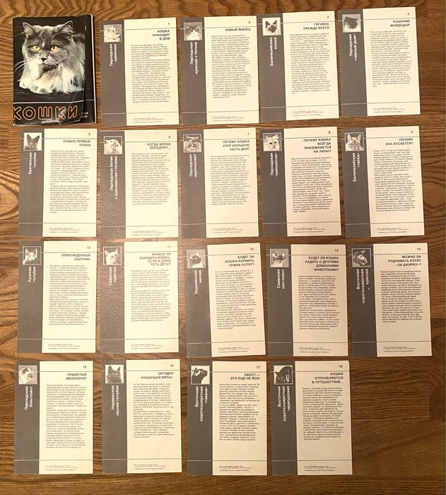 Набор открыток Кошки