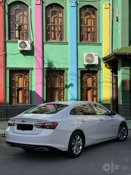 Malibu Premier малибу