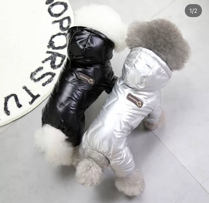 одежда для животных