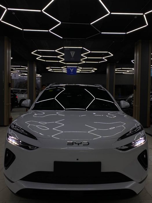 Byd Sea lion 06 605 km full