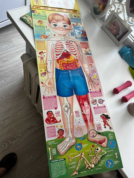 Книжки с окошками