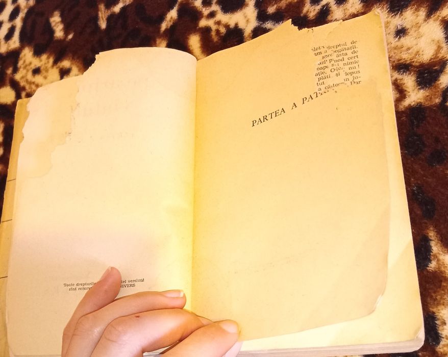 Pe aripile vântului (1971)