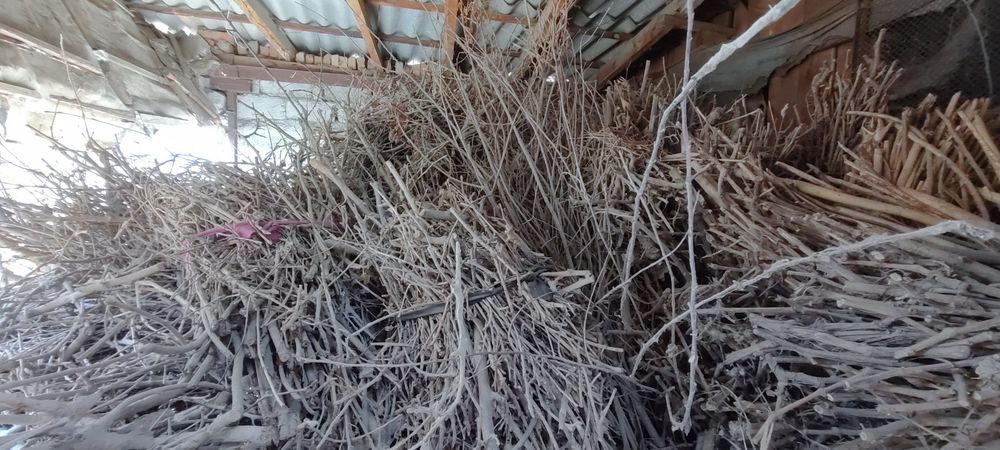 O'tin bor sotiladi / Дрова продаются