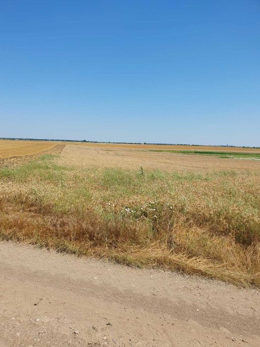 Teren intravilan de vanzare