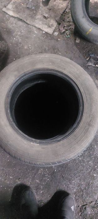 Продам покрышек.