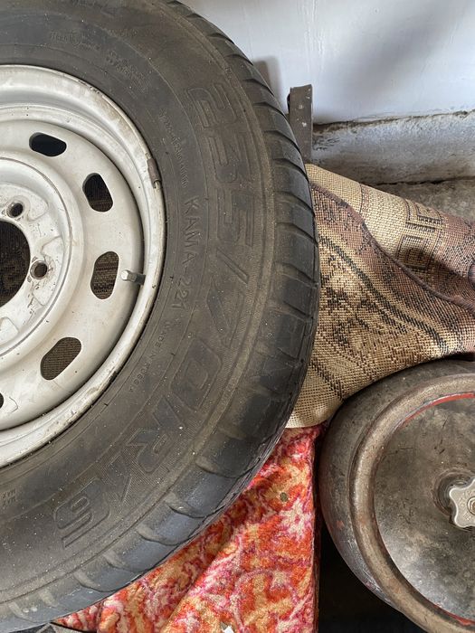 Собольт 16 летний донгелек сатылады