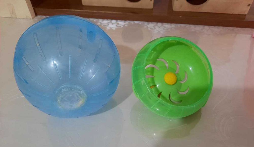 Колесо и шар бу для джунгарика хомяка