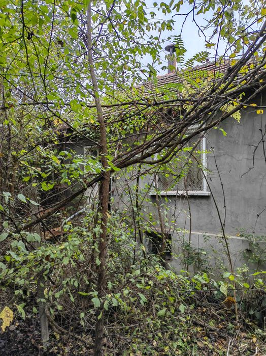 Продава се Парцел в с. Гайтанци, Област Видин - 5321 кв.м за 3 €/кв.м - Снимка #2