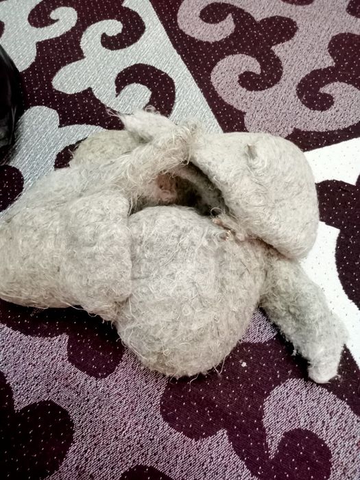 Құрқұлтай ұясы.Гнездо Ремеза