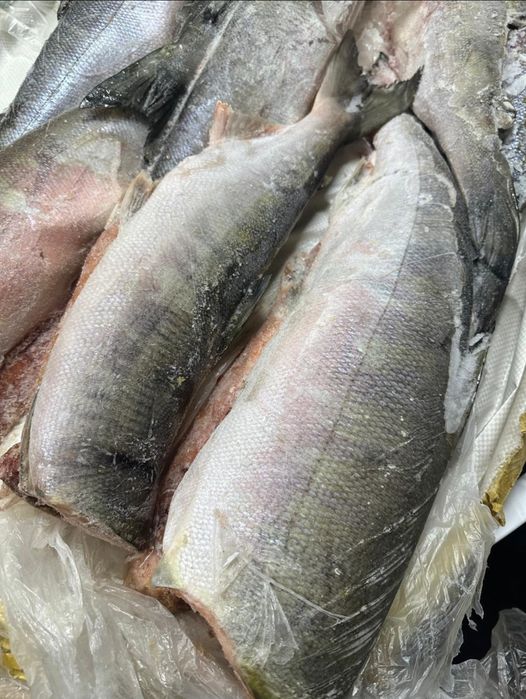 Рыба в ассортименте