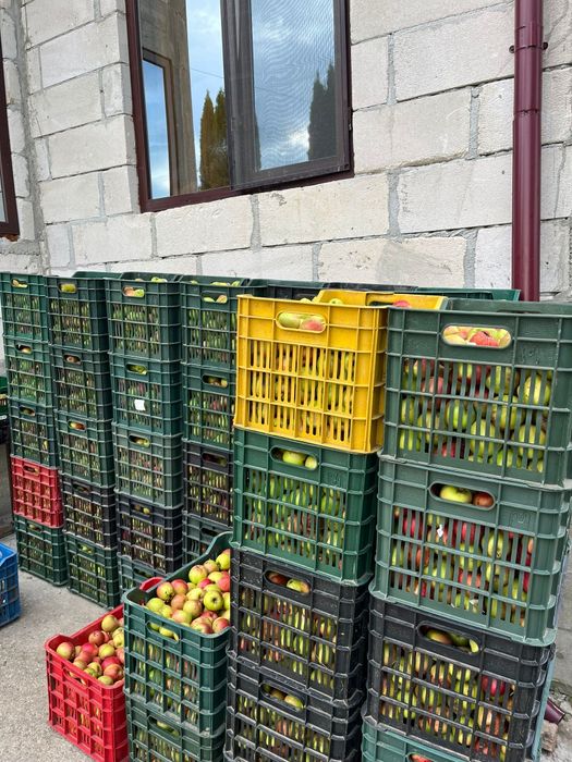 Mere pentru industrie