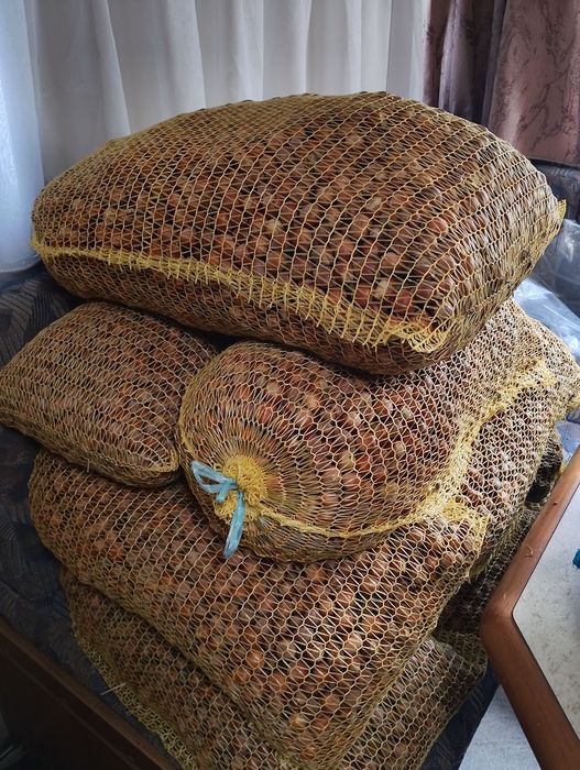 Продавам биолешници