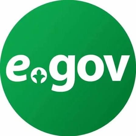 Оказываю услуги через eGov