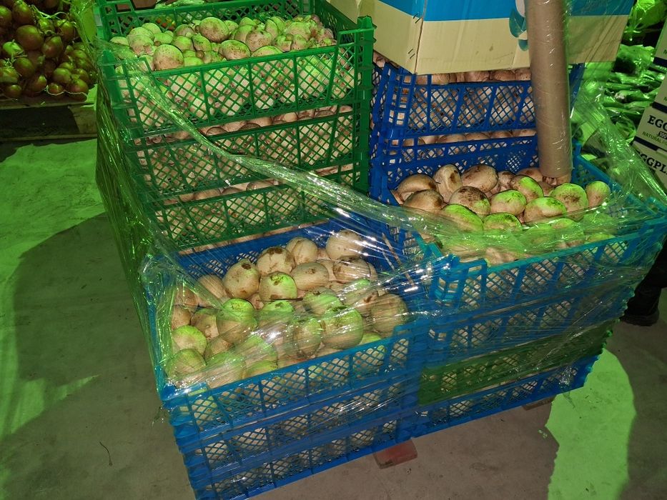 Грибы шампиньоны