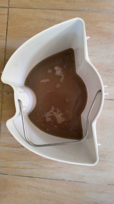 deep cleanning and deatailing