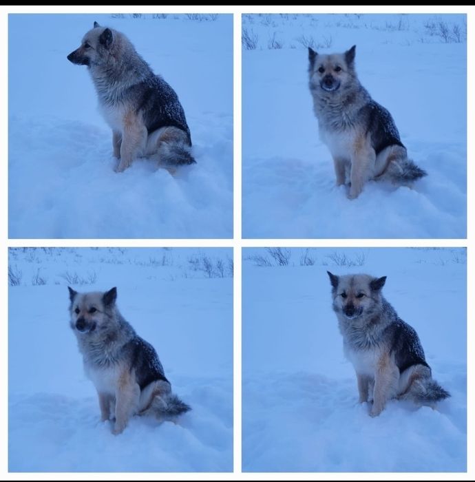 Молодая девочка в добрые руки