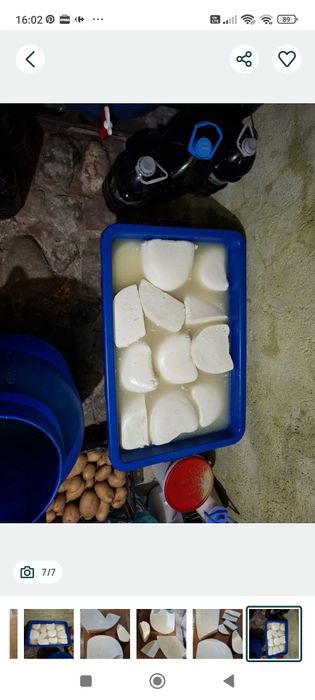 Branza proaspata capra naturala