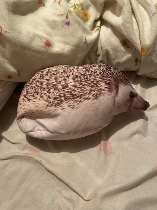 Продам мемного ежа