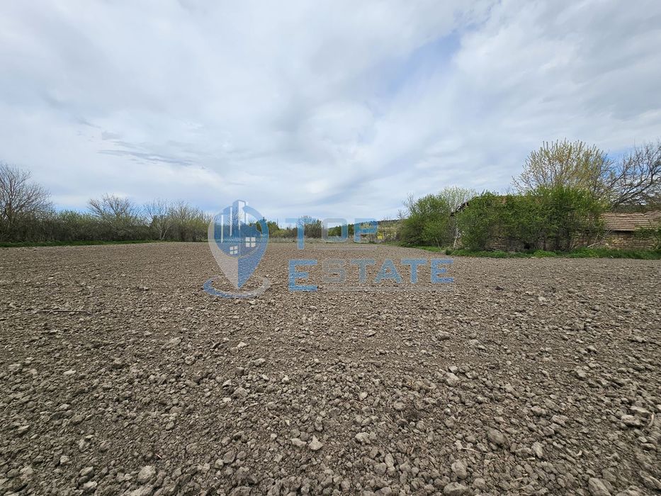 Голям парцел със стара къща в с. Драгомирово