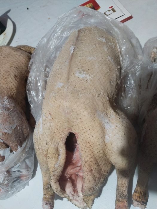 Продам гусеи тушки среднего веса