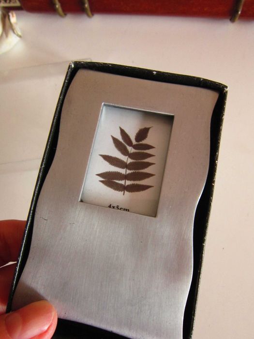 cadou rar miniatura botanic metal masiv inoxidabil tablou Germany'90