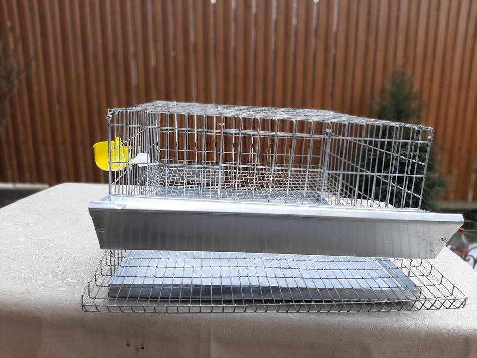 Cusca prepelita 25 cap