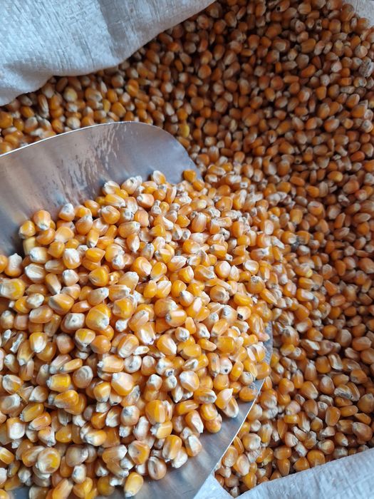 MALAI SUPERIOR - Calitate Garantata fabricat in România