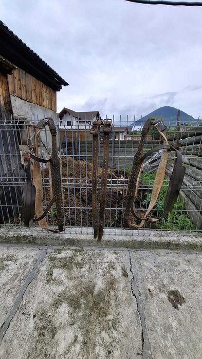 Accesorii pentru cal