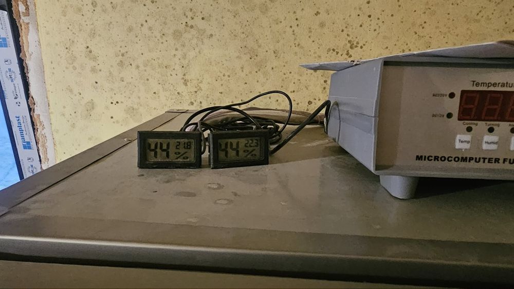 Incubator,clocitoare tehno ms256