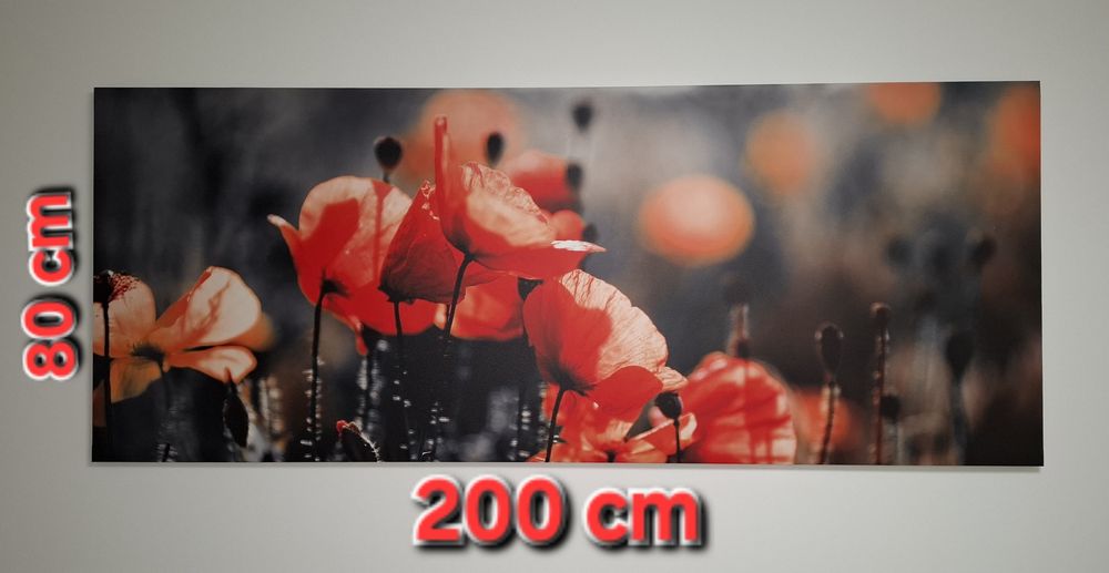 Canvas tablou maci 200x80