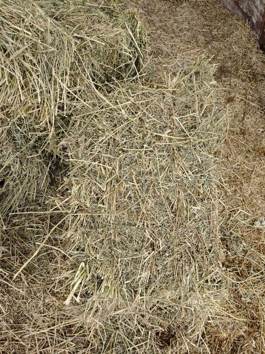 Сено Эспарцет - тюк