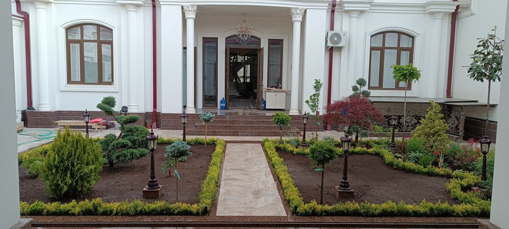 Газон ландшафтный дизайн хизматлари