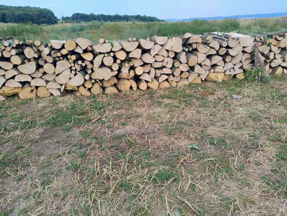 Vand lemne de foc esența tare carpen și fag