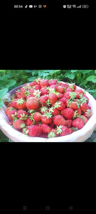 Продам дачу район ГМЗ