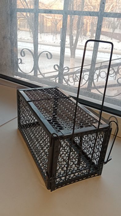 Мышеловка хорошая новая