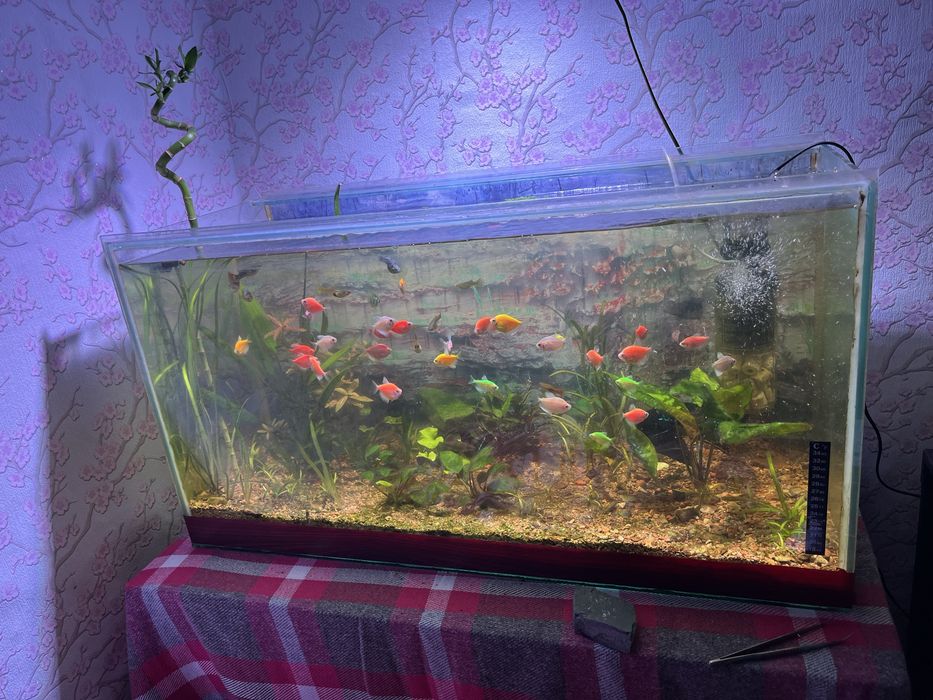 Аквариум 140л 100л и 140л