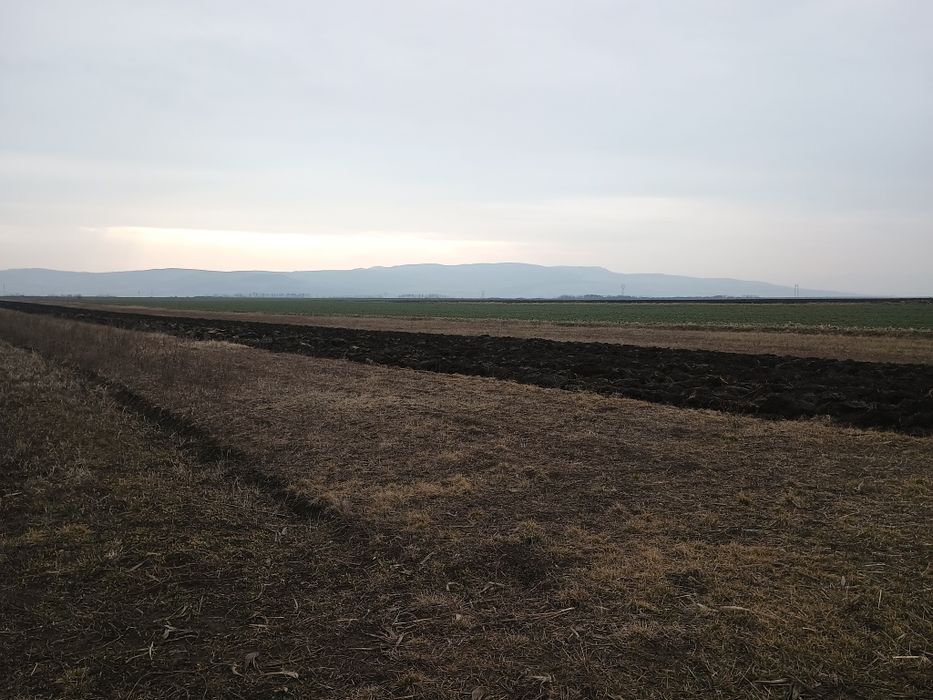 Vând Teren Extravilan