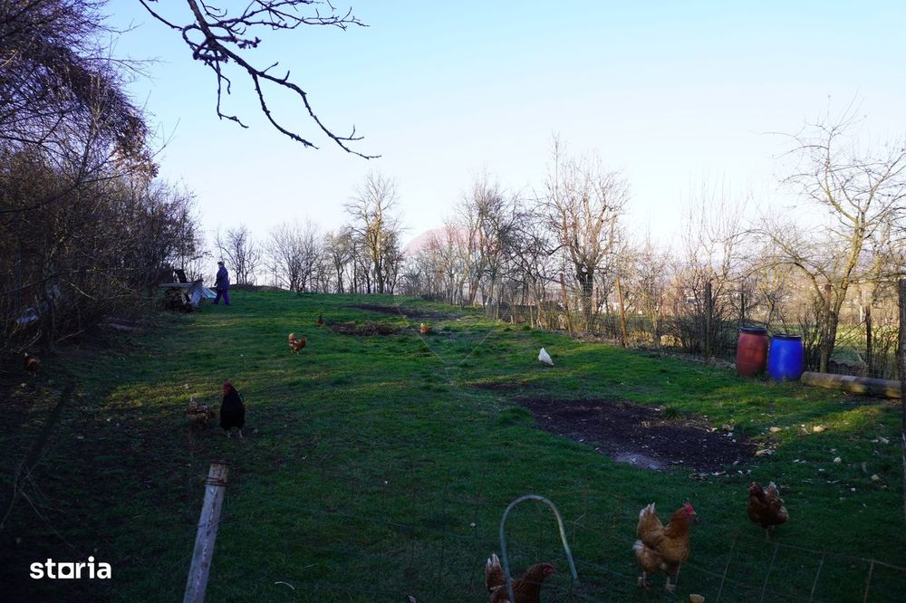Proprietate cu 2 Case și Teren Generos – Str. Câmpu Negru