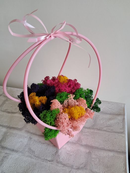 Кошнички със скандинавски мъх