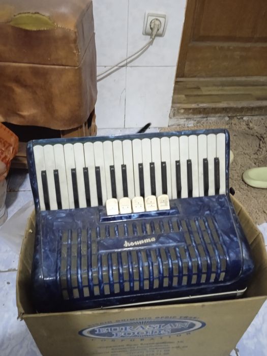 Бояны 2штуки советские