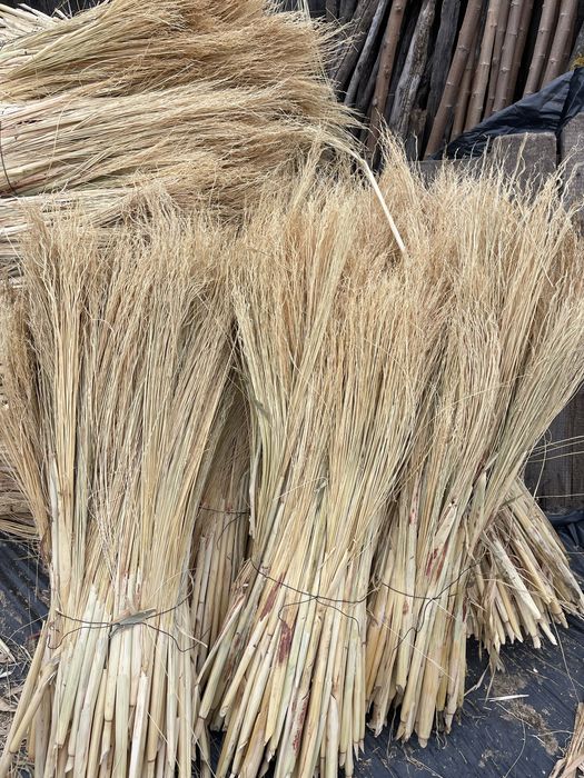 Tel/paie pentru maturi