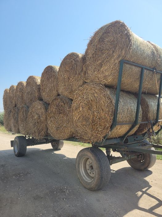 Vând 100 baloti de paie!