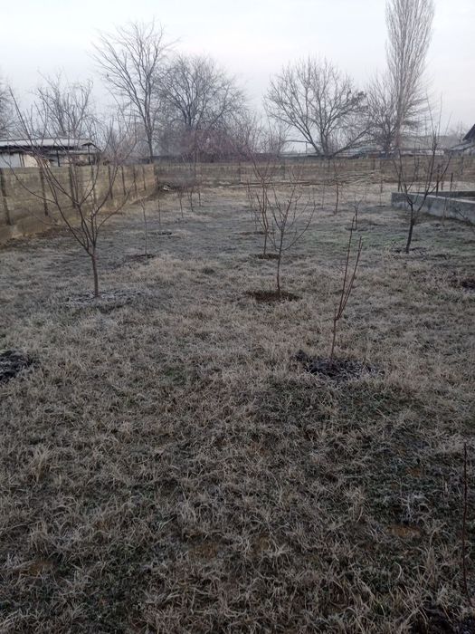 Срочно ер сотилади Чинозда