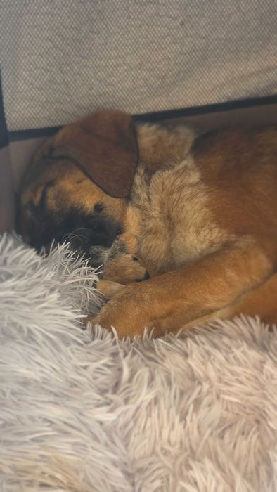 Момиче търси любов и дом