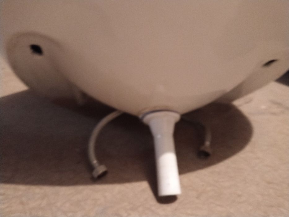 Раковина белая целая